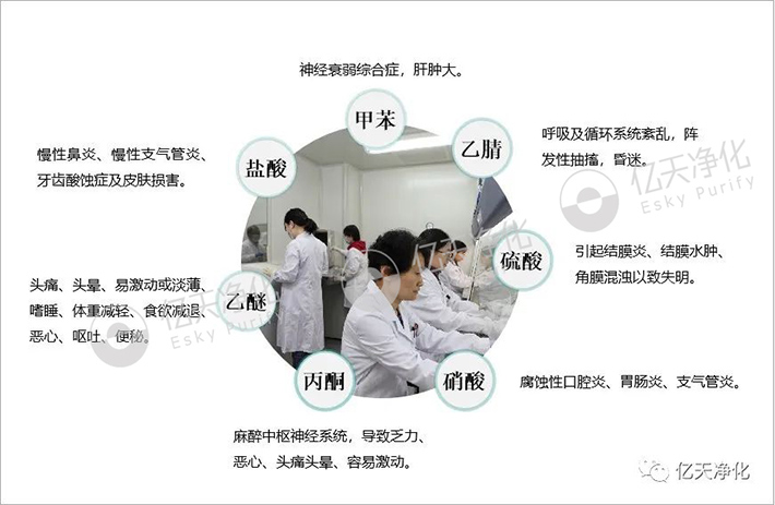 告別惡臭，守護呼吸健康，全面凈化動物實驗室空氣環境